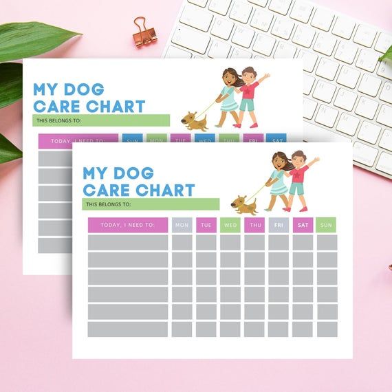 Pet Care Chart, Pet Information, Printable Chore List, Dog ...