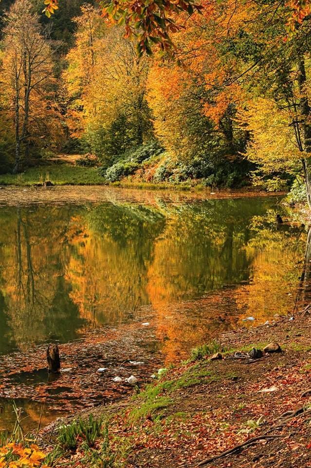 Sakarya Hendek Keremali Yaylasi Fotograflar Alpaslan Berber Nature Beauty Natural Landmarks Nature