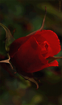 Related image