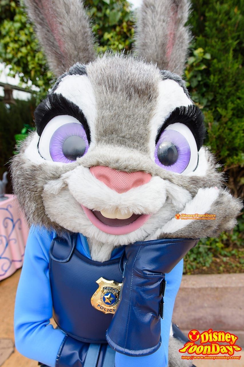 ズートピア のニックとジュディのラブラブ写真集 Dlpでグリーティング ディズニーブログ Toondays 21 ズートピア 着ぐるみ ディズニー 着ぐるみ ズートピア のニックとジュディのラブラブ写真集 Dlpでグリーティング ディズニーブログ Toondays 21 ズートピア 着ぐるみ ディズニー 着ぐるみ