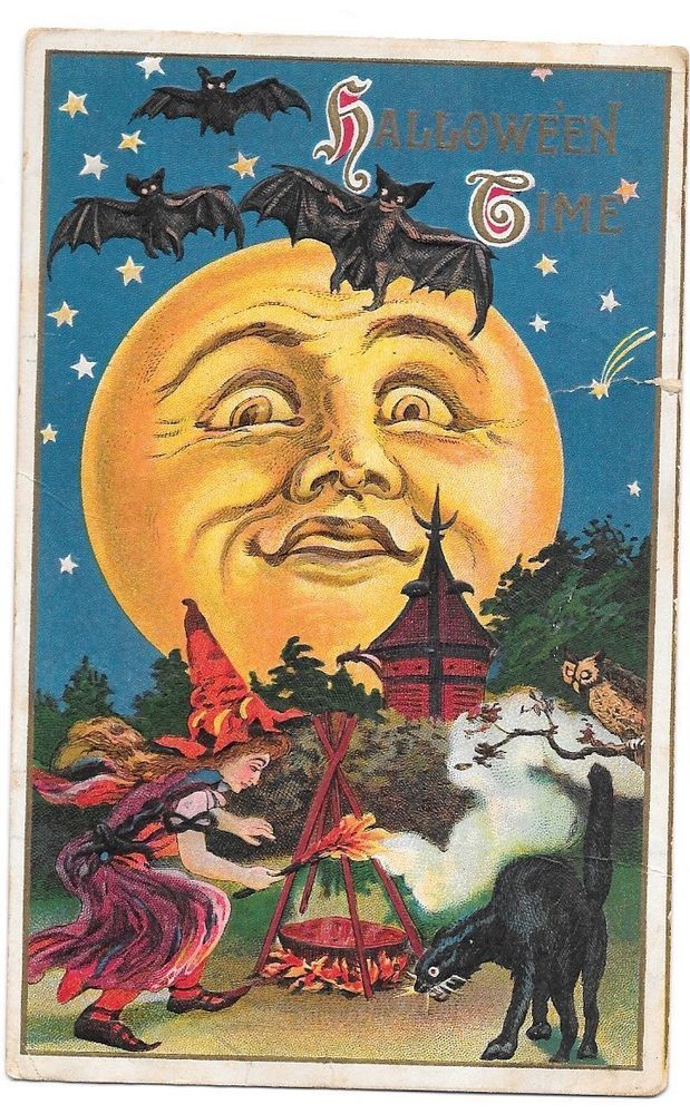 Fabric Block Halloween Vintage Image Witch Postcard on Fabric