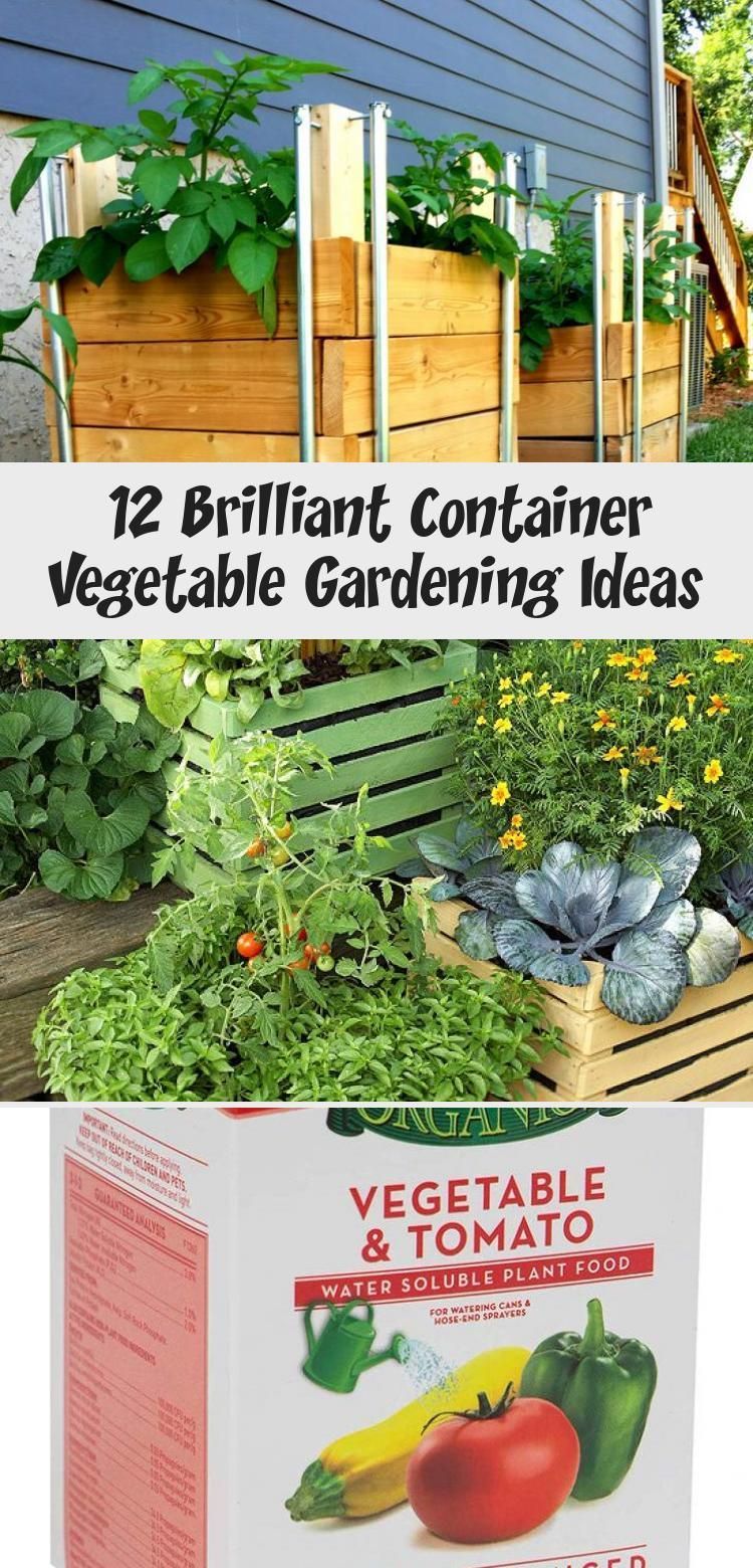 12 brilliant container vegetable gardening ideas garden design brilliant container container gardening vegetables container herb garden container vegetables garden plot design on 12 brilliant container vegetable gardening ideas garden design brilliant container container gardening vegetables container herb garden container vegetables pinterest