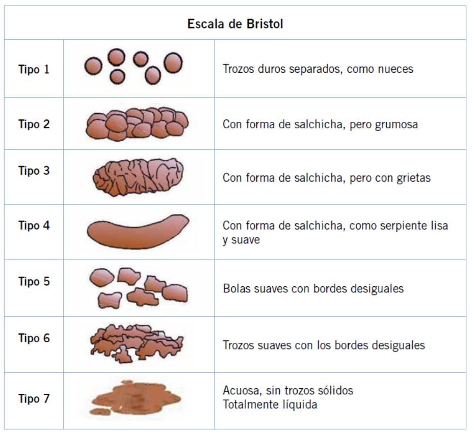 escala de bristol fezes pdf