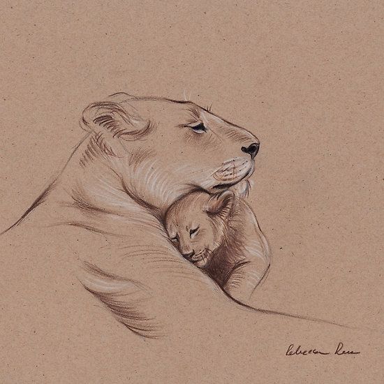 17 Idees De Croquis De Lion Dessin Dessin D Animal Dessin Lion 17 Idees De Croquis De Lion Dessin Dessin D Animal Dessin Lion