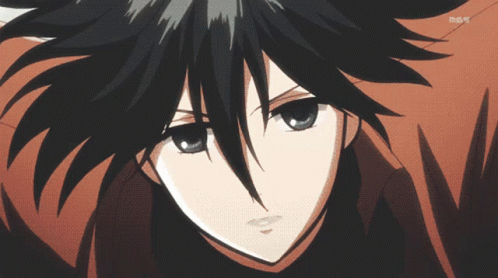 pic Mikasa Ackerman Icon Gif attack on titan mikasa ackerman gif