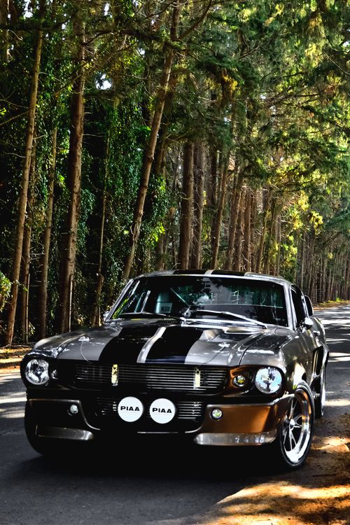 #Shelby GT 500* Ford Mustang Shelby Gt, Shelby Mustang Gt500, Mustang Cars, Ford Mustangs, 1967 Mustang, Mustang Sally, Gt 500, American Muscle Cars, Dream Cars