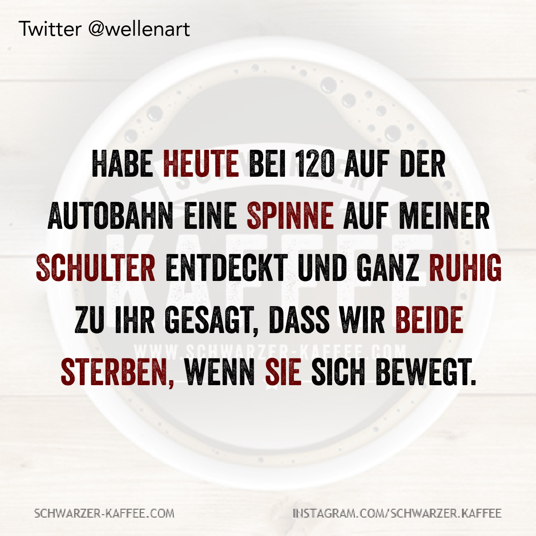 Habe heute bei 120 auf der Autobahn eine Spinne auf meiner Schulter entdeckt und ganz ruhig zu ihr gesagt, dass wir beide sterben, wenn sie sich bewegt. Der Beitrag SPINNE ENTDECKT erschien zuerst auf SCHWARZER-KAFFEE.