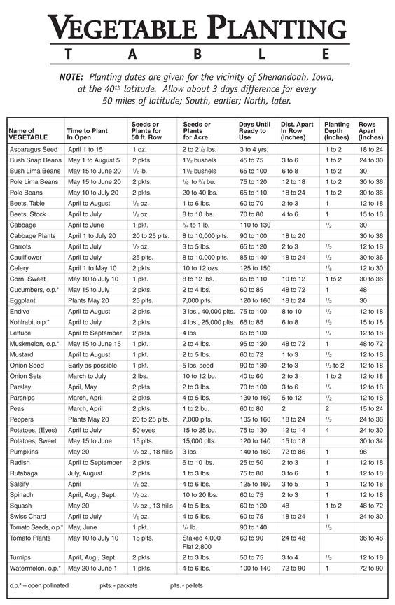 vegetable planting table earl may dates plants per row days vegetable root depth chart
