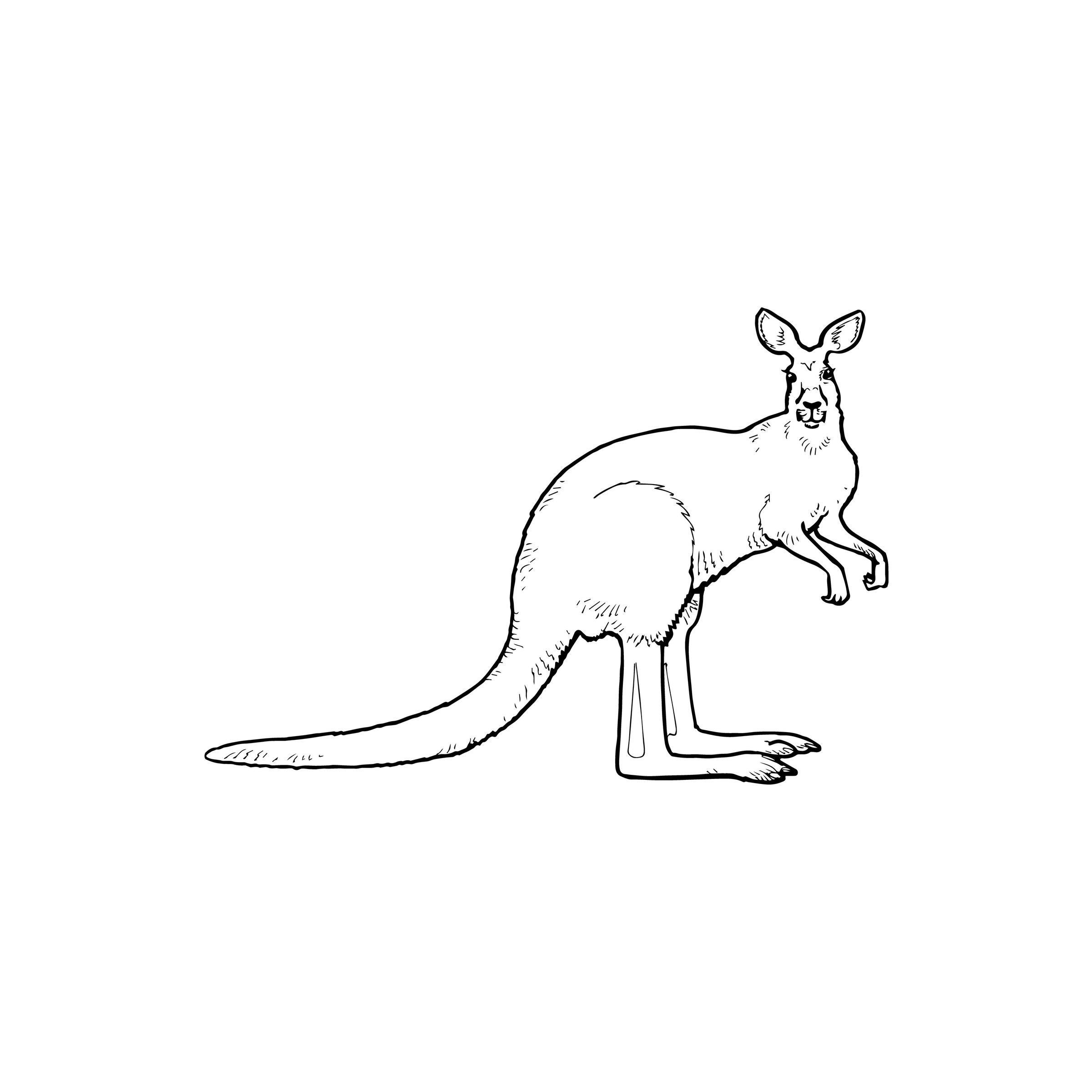 Download Kangaroo Dxf Files Kangaroo Cricut Cut Files Kangaroo Dxf Cut File Kangaroo Clipart Kangaroo Svg Cut Files Kangaroo Svg Vinyl Cut File Clip Art Art Collectibles Puhlsphotography Com
