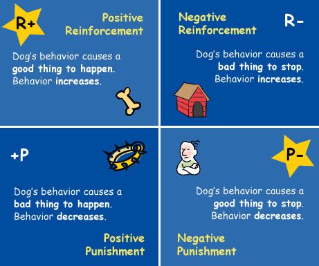 4 Quadrants Of Operant Conditioning For Refference Positive Dog