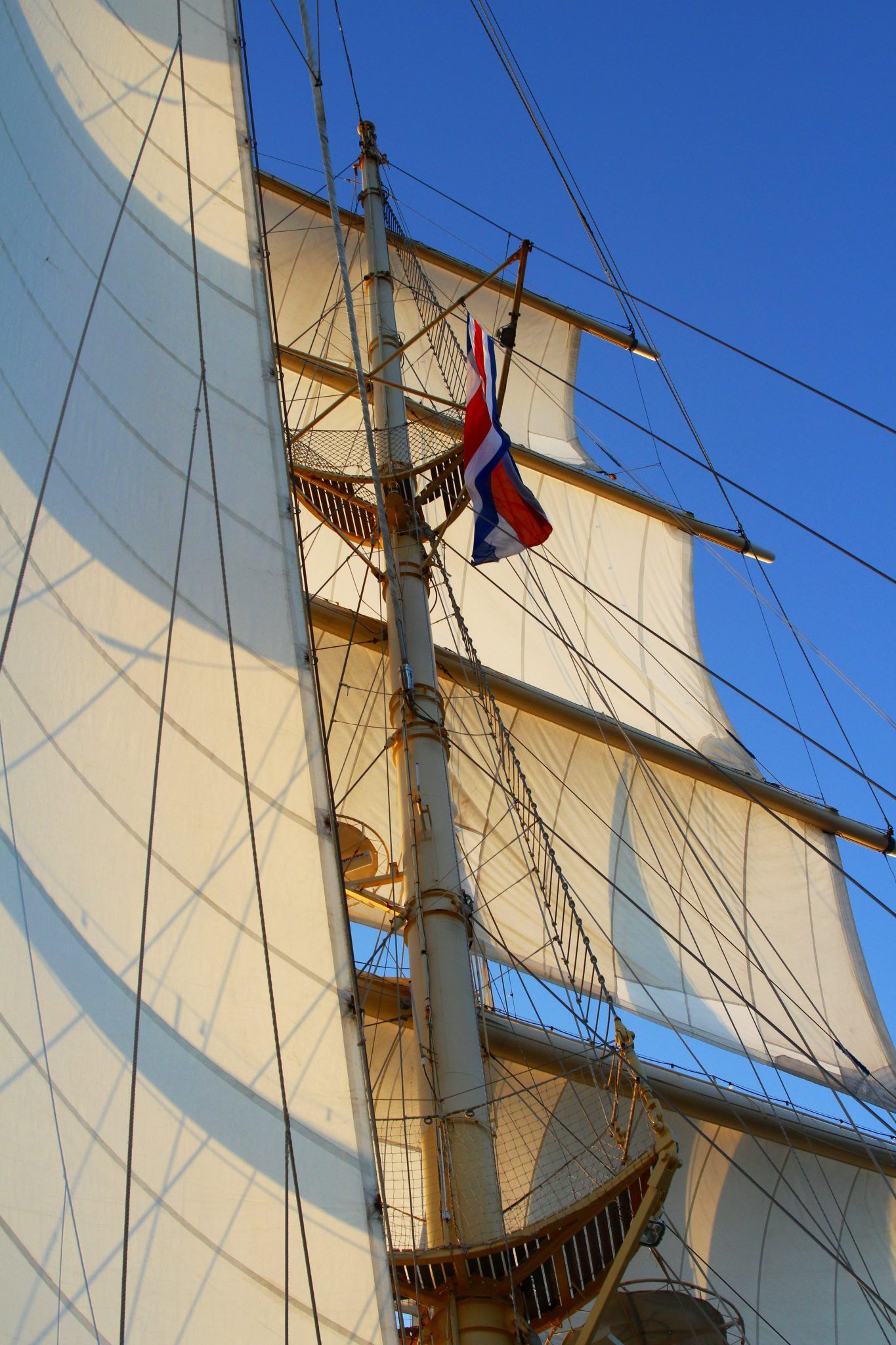 star clippers star flyer by www letsvamoose com star clippers star clippers star flyer
