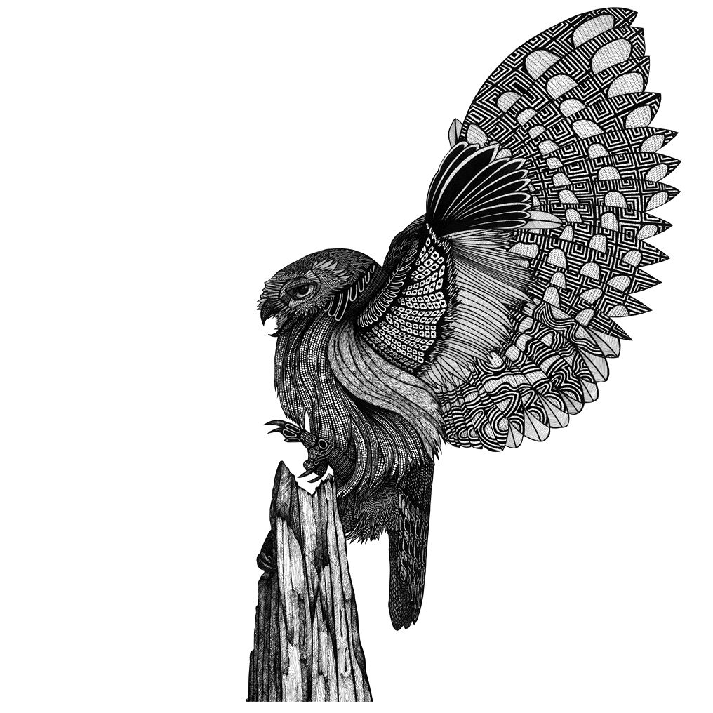 Unique Giclée print from the handwork original artwork Ink on paper Professionally printed on 310gsm fine art matte paper, cotton 100% Limited Edition of 100 Signed and numbered by the artist in pencil Designed and printed in Greece Pencil Design, Art Of Love, Birds 2, Handwork, Animal Kingdom, Matte Paper, Art Projects, Giclee Print, Original Artwork