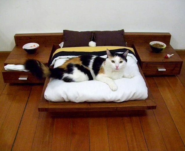 PETSITE Cat House Litter Box Furniture Decorative Pet Cat Home Nightstand House Cat Washroom Litter Box Enclosure