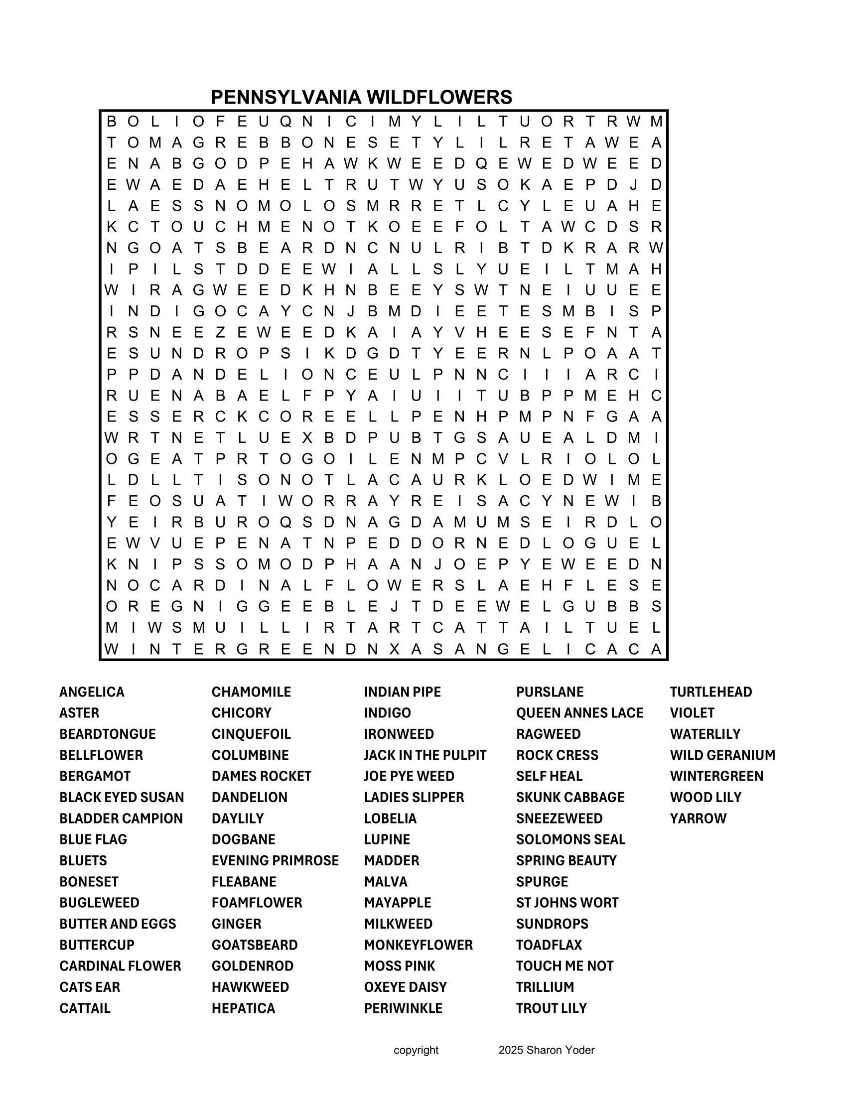 Wortsuchlauf für Erwachsene - Wildblumen von Pennsylvania - Druckbar - Puzzle - Download