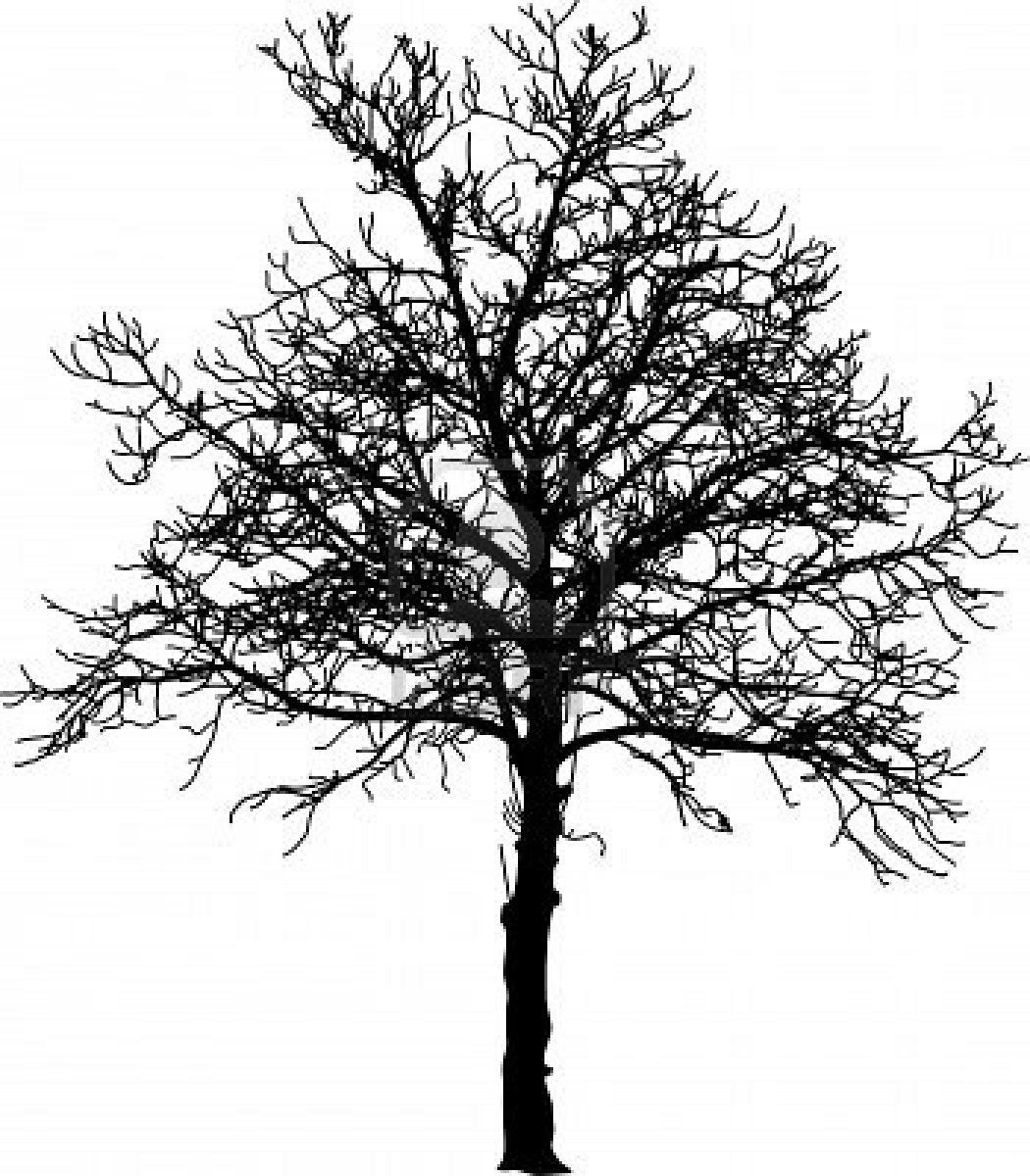 Download Stock Vector | Winter trees, Vector trees, Stock photos