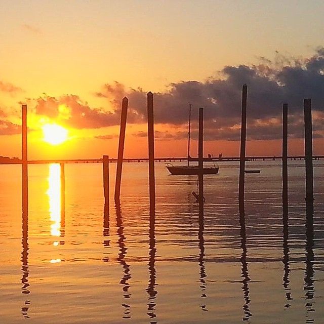 the pensacola fish house