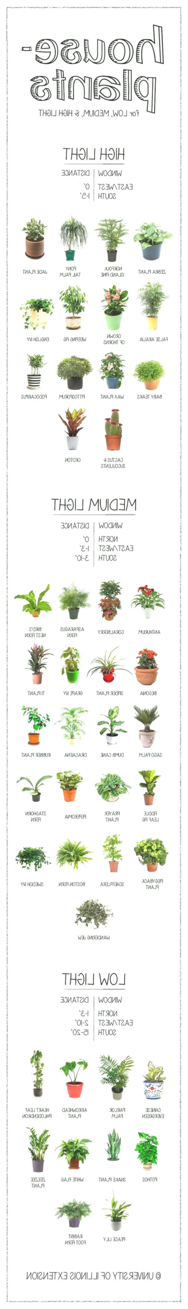 Gardening Cheat Sheets #haircutideas #makeup #personalcelebration #diet #nutrition #quotes #genres...