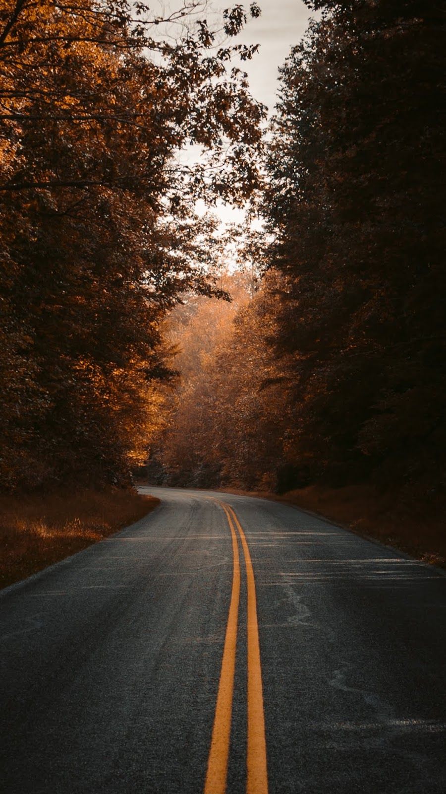 Autumn Road Nature Photography Fall Photography Nature Fall Wallpaper Autumn Road Nature Photography Fall Photography Nature Fall Wallpaper