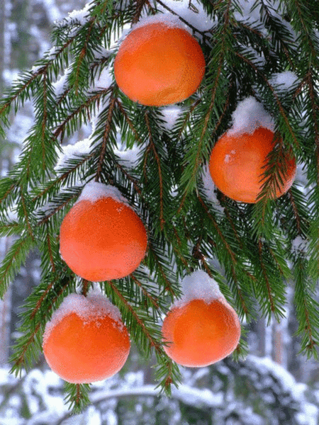 С Новым Годом... B9faff18543a43a3fe77e819ca3ea1cd