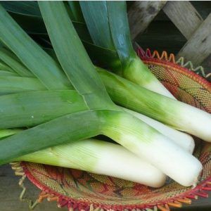 Vegetables, Food, Garlic Seeds, Buy Seeds, Recipes, Essen, Vegetable Recipes, Meals, Yemek