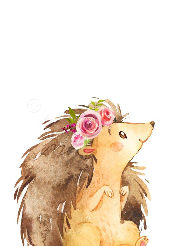 Girls Woodland Nursery Prints Set Of 10 PRINTABLES Baby Etsy Espa a girls-woodland-nursery-prints-set-of-10-printables-baby-etsy-espa-a