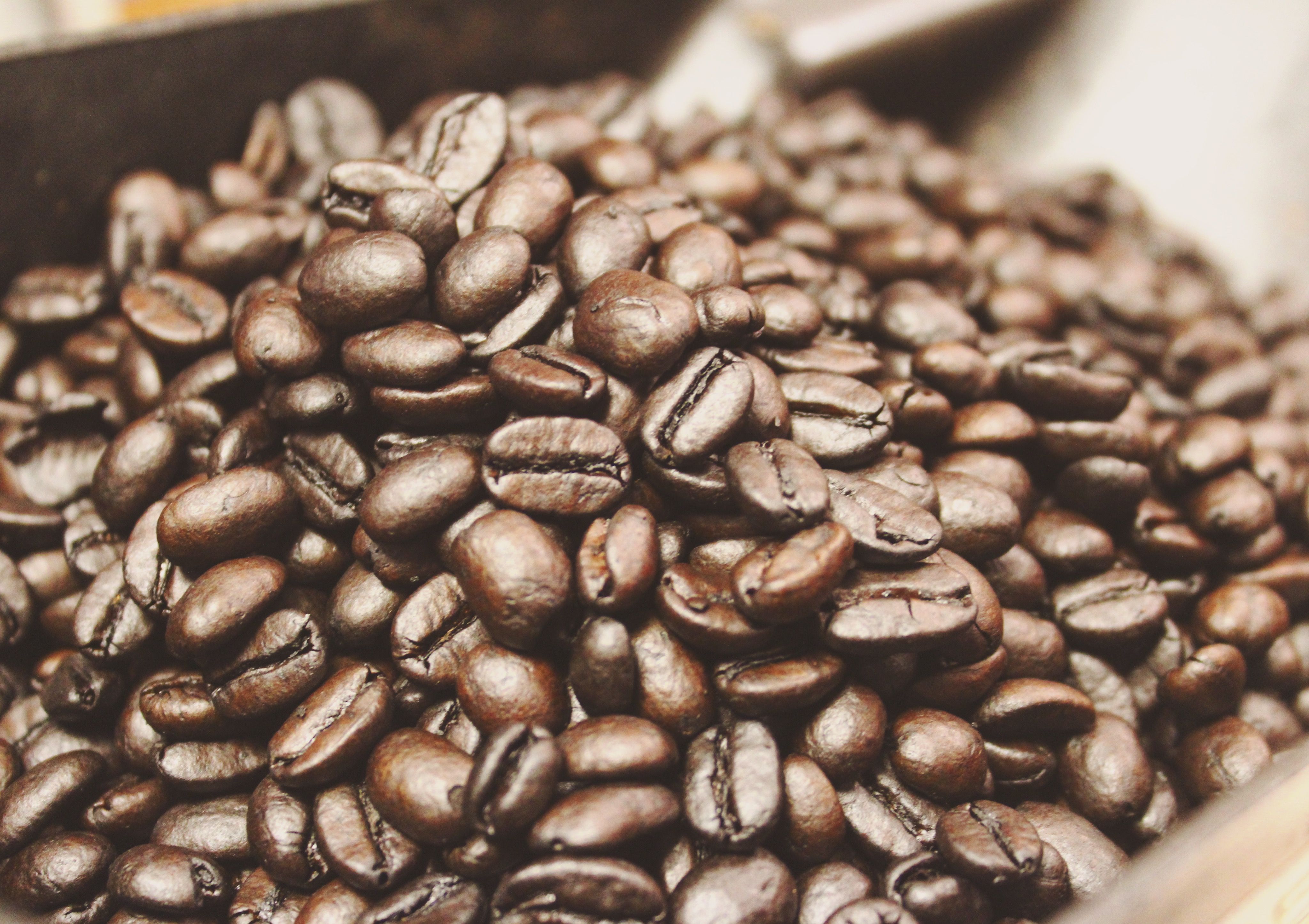 Coffee Beans | Coffee beans, Food, Beans