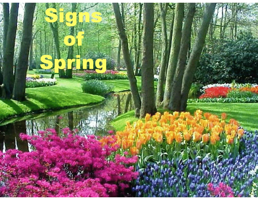 Spring Season Point Presentation Educational Products From My This Point Presentation Explains The Spring Season In Simple Terms Using Real Full Color