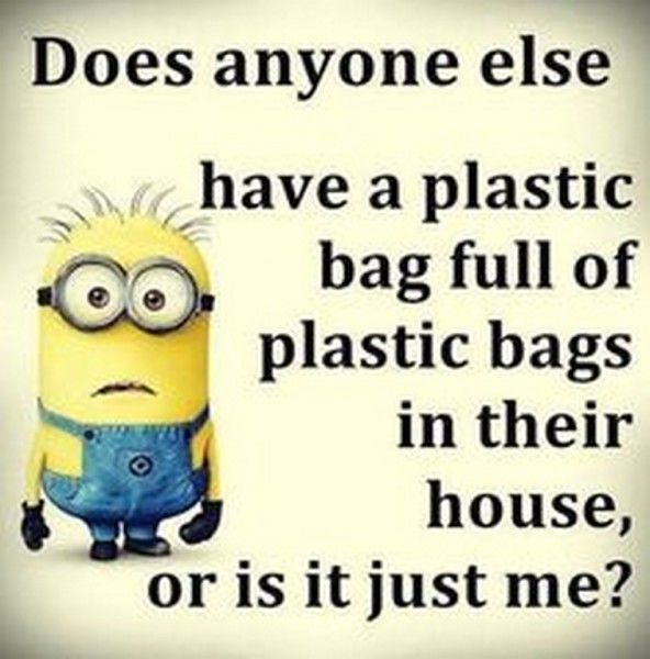 Here Are Very Funny Minion Quotes And Funny Images We Hope You Will Love Them Make Sure To Share These Excellent Quotes Here Are Very Funny Minion Quotes And Funny Images We Hope You Will Love Them Make Sure To Share These Excellent Quotes