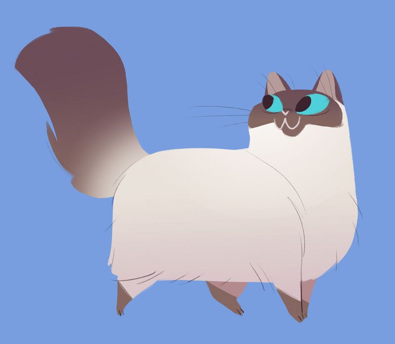 Daily Cat Drawings — 557: Fluffy | Cat drawing, Cat art illustration