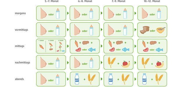 Ergnzende Lebensmittel einfhren: So funktioniert es - Tipps fr das Leben mit Baby - #baby #das #einf...