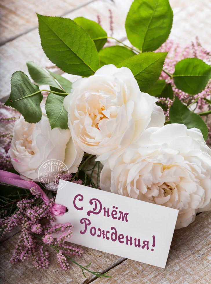 Картинка с днем рождения и розы, вода картинка днем