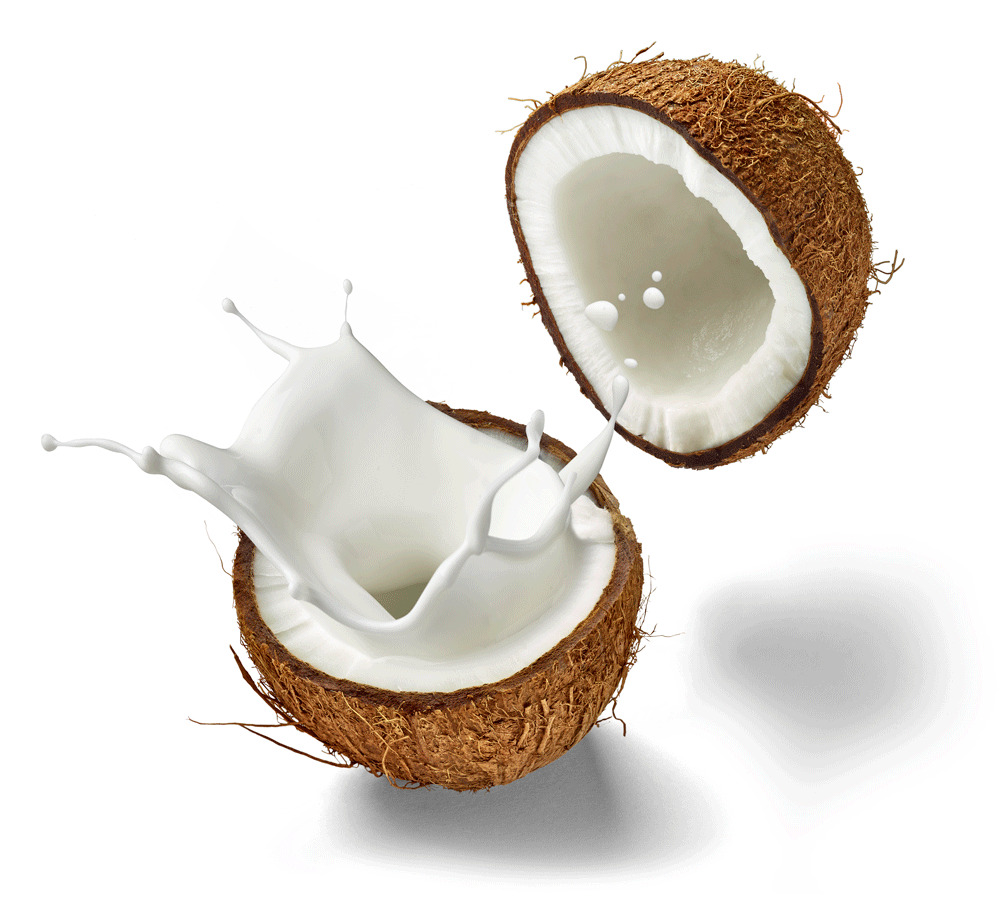 Everything You Need To Know About Coconut images foto Everything You Need To Know About Coconut