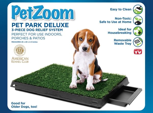 7 Tips For Potty Training Older Dogs Potty Train Older Dogs Fast