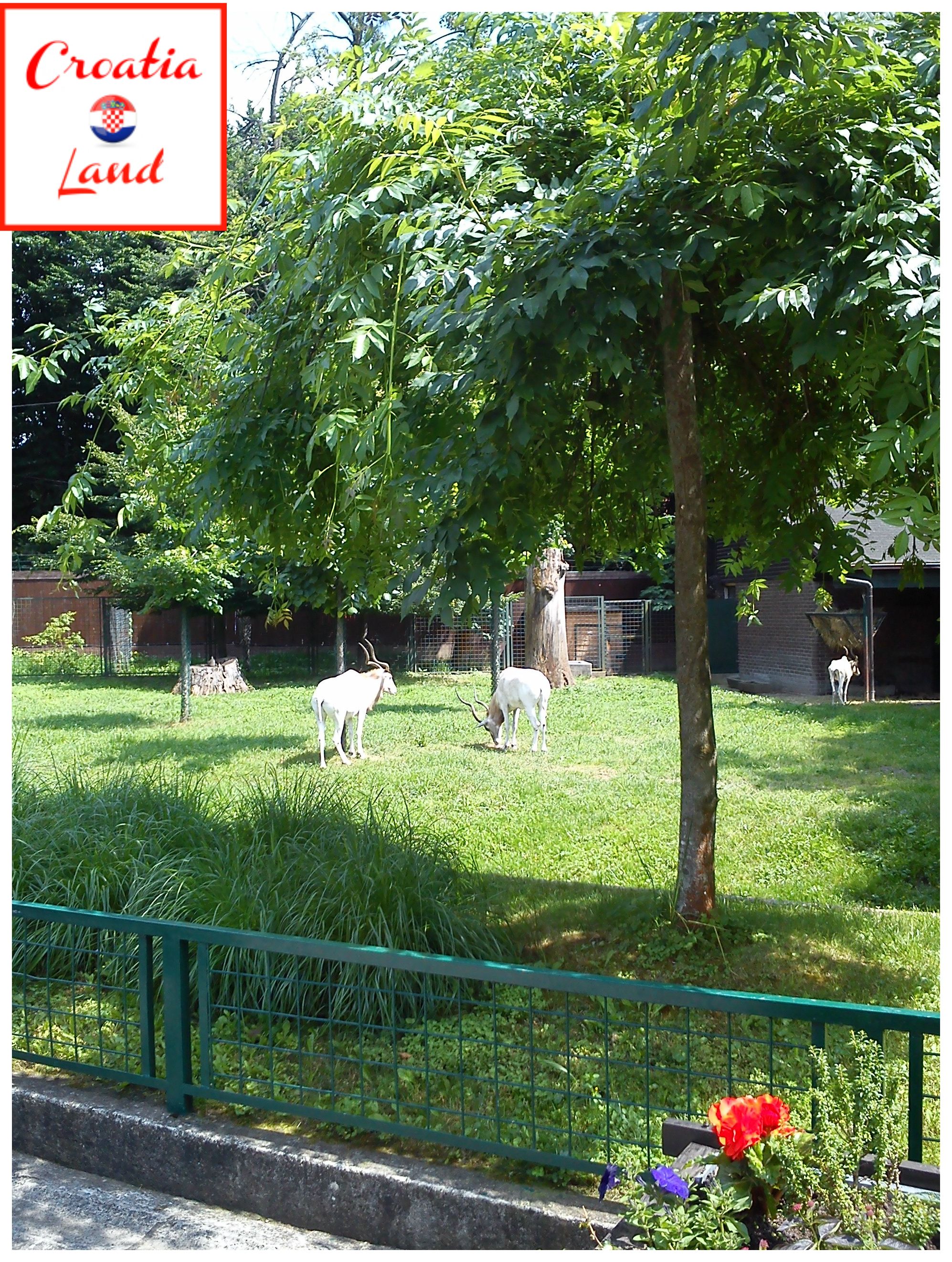 Foto Zgodbe Zoo Zagreb Zagreb Zoo Hiking Boots
