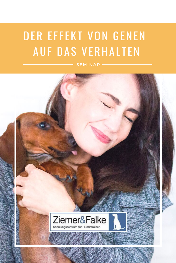 Kennenlernen hunde