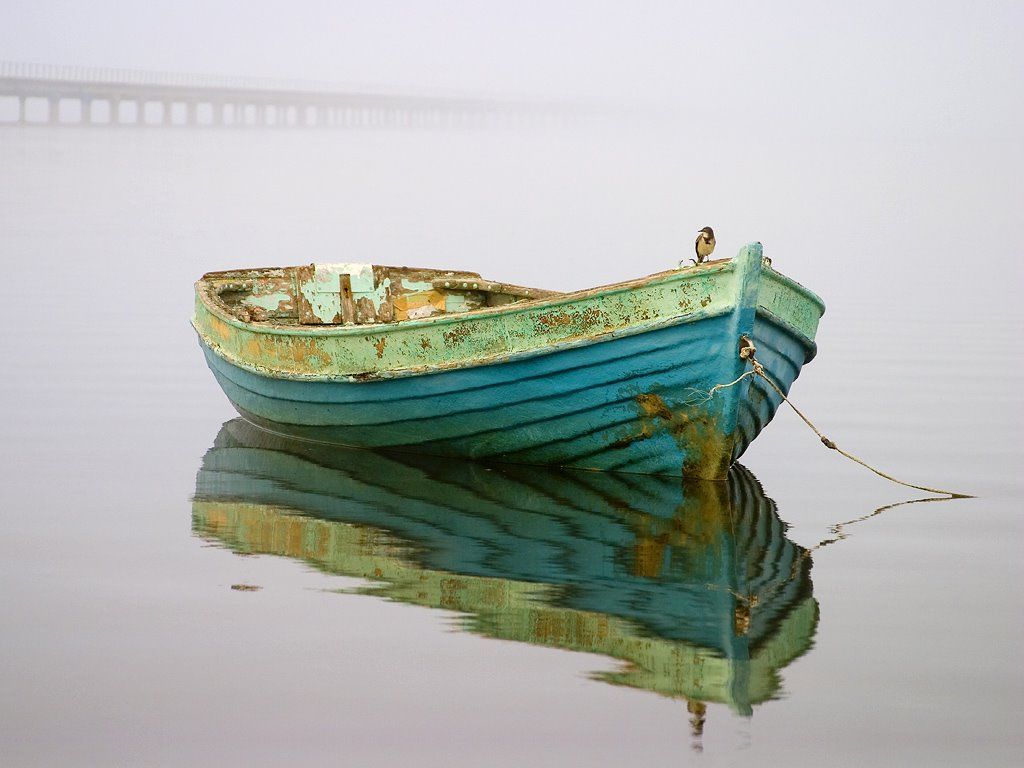 Beautiful Little Row Boat Beautiful Little Row Boat