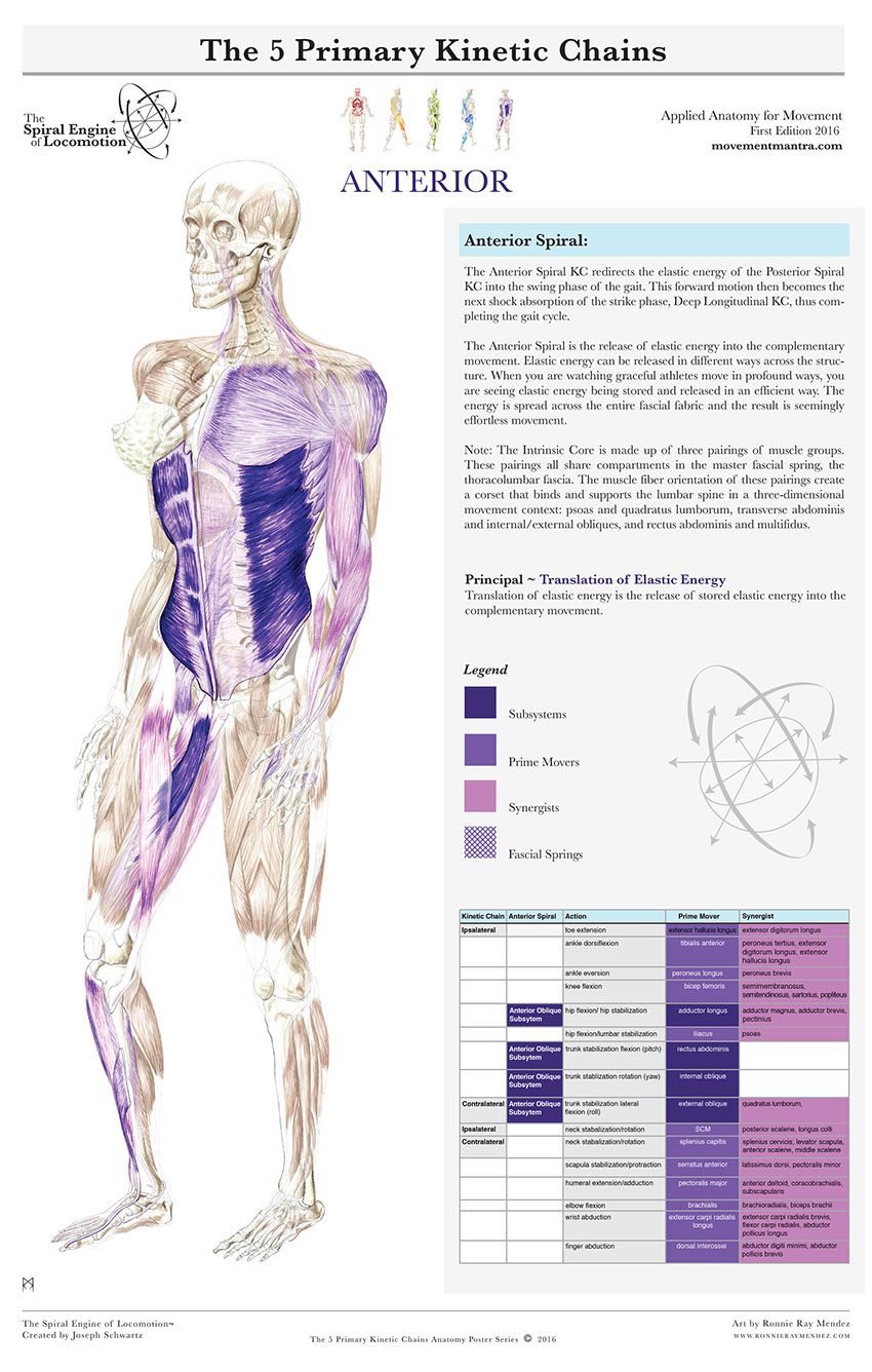 Female And Male Introductory Pelvic Floor Course Dayan Physiotherapy And Pelvic Floor Clinic