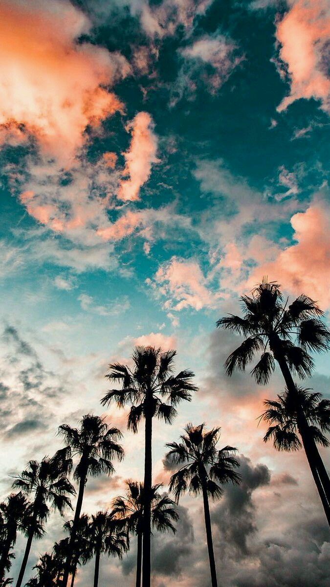 Image about summer in WALLPAPERS by Angela on We H Image about summer in WALLPAPERS by Angela on We H
