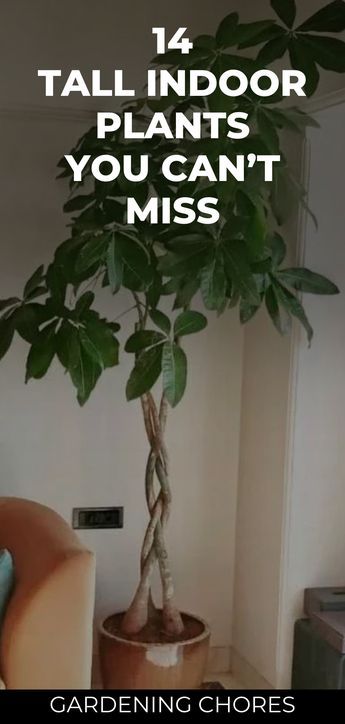 14 Gorgeous Tall Indoor Plants To Liven Up Your Indoor Space