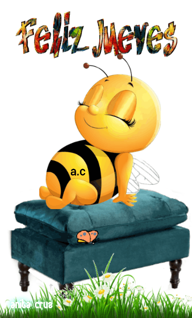 Pin en Buenos días a todos!!!!,y,buenas noches!!!!