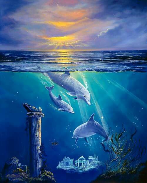 Dolphins Sunken City Ancient Civilizations Sea Creatures