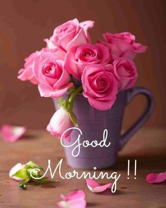 "Mi piace": 108, commenti: 3 - Cinzia Marinelli (@cinzia_ssl) su Instagram: "#buongiornissimo #buongiorno #buongiornopertuttoilgiorno #buongiornomondo #buonvenerdiatutti❤️…" Good Morning Messages Friends, Good Morning Greeting Cards, Good Morning Roses, Good Morning Image Quotes, Good Morning Picture, Good Morning Good Night, Good Morning Greetings, Morning Quotes, Good Morning Flowers Pictures