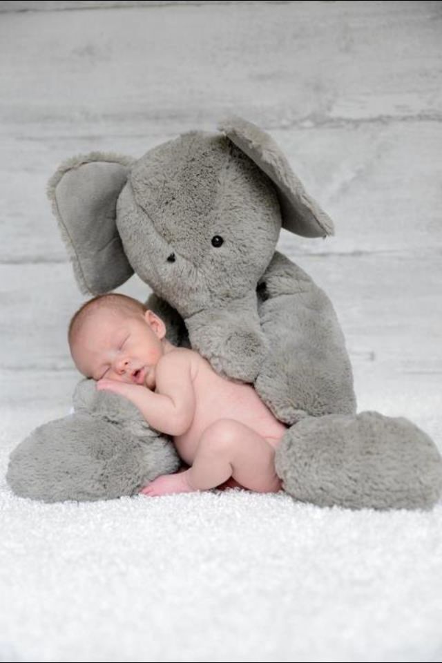 cute baby with elephant cutebaby baby children ideas