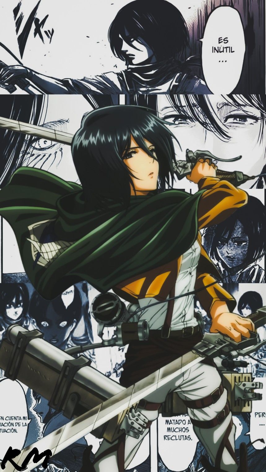 Mikasa Attack on titan anime, Attack on titan art, Anime