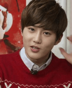 pin on kim junmyeon pin on kim junmyeon
