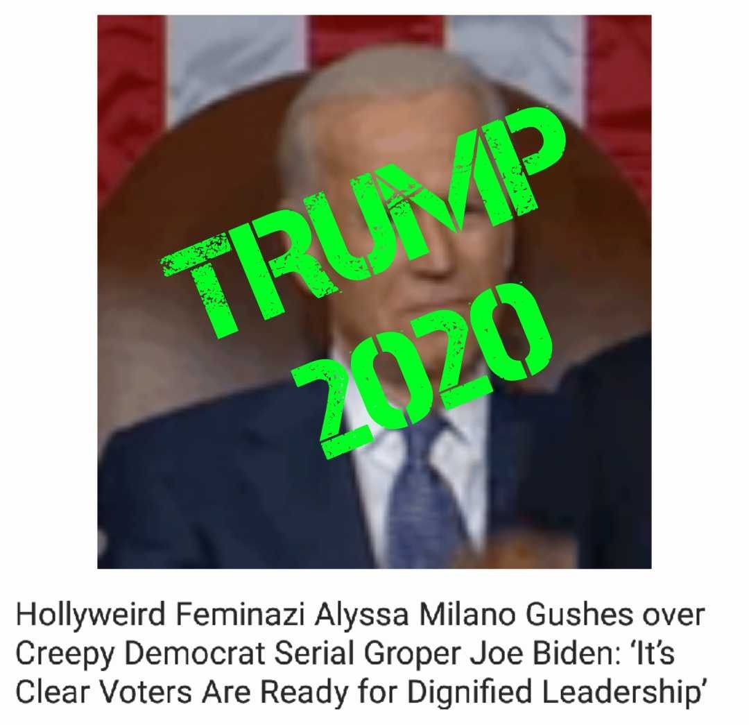 Pin By Lynn On When Hollyweird Speaks Voter Joe Biden