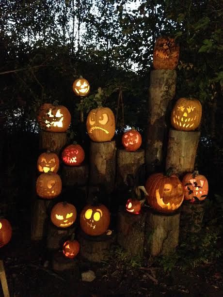 jack o lantern spectacular roger williams jack o lantern spectacular roger williams