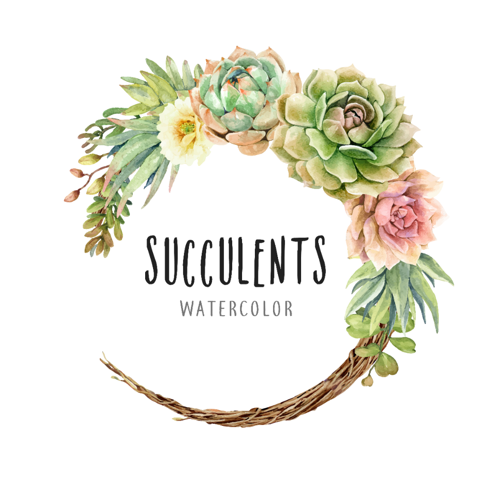 Download Download Watercolor cactus cacti and succulents on vine ...