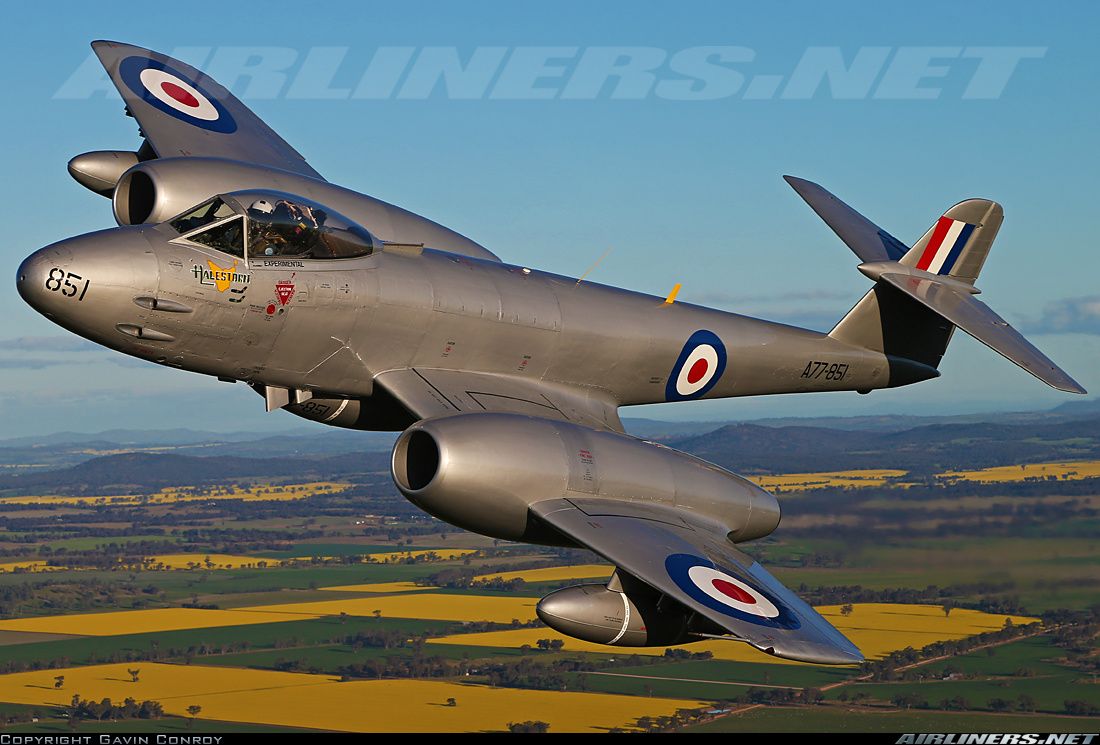 Gloster Meteor F8 aircraft picture Wwii Fighter Planes, Fighter Aircraft, Navy Aircraft, Jet Aircraft, Military Jets, Military Aircraft, Air Fighter, Fighter Jets, Gloster Meteor