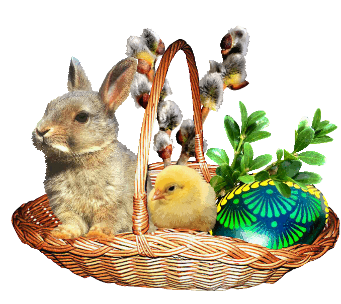 Ostern gifs kostenlos